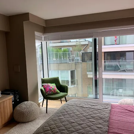 Gezellige Landelijke 4 Persoons Luxestudio, 50 M2 Met Schuin Zeezicht Apartment